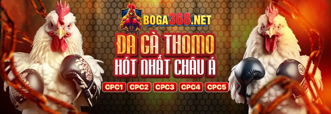 Ưu đãi thành viên mới tr8888